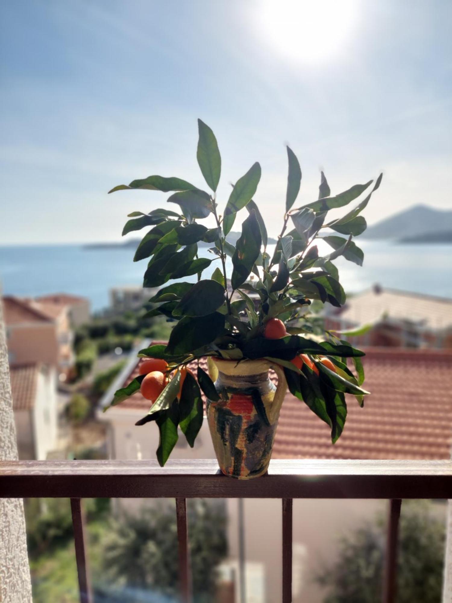 Apartmani Dalex Μπούντβα Εξωτερικό φωτογραφία